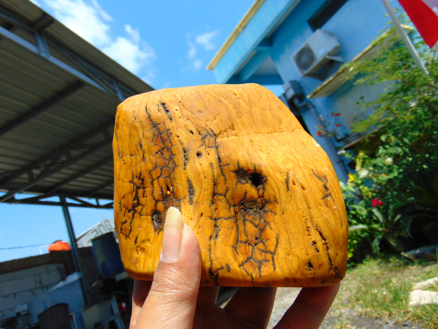 457 gram Polished Indonesia Yellow Fragrance Amber for Healing K820