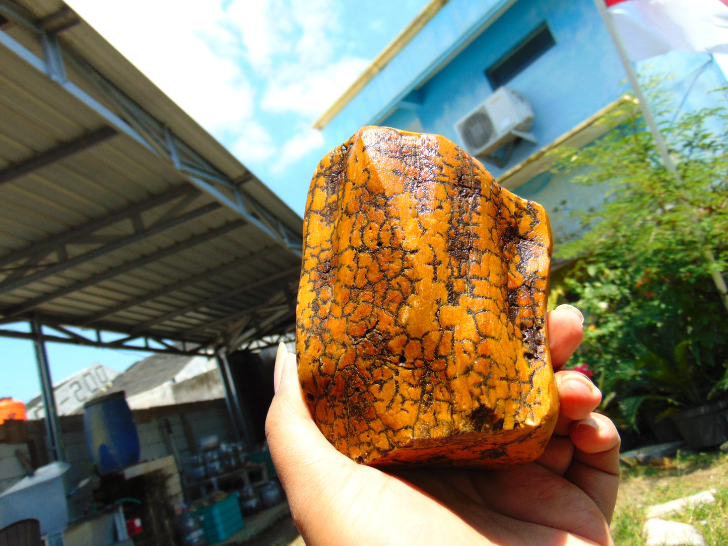 351 gram Polished Indonesia Yellow Fragrance Amber for Healing K823