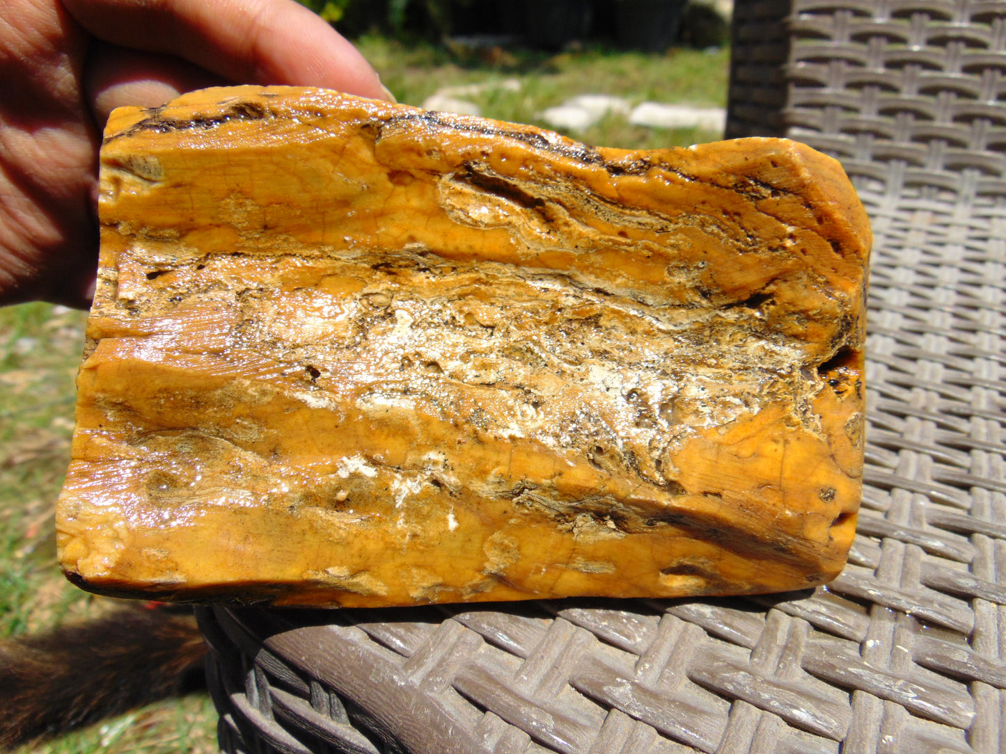 214 gram Polished Indonesia Yellow Fragrance Amber for Healing K825