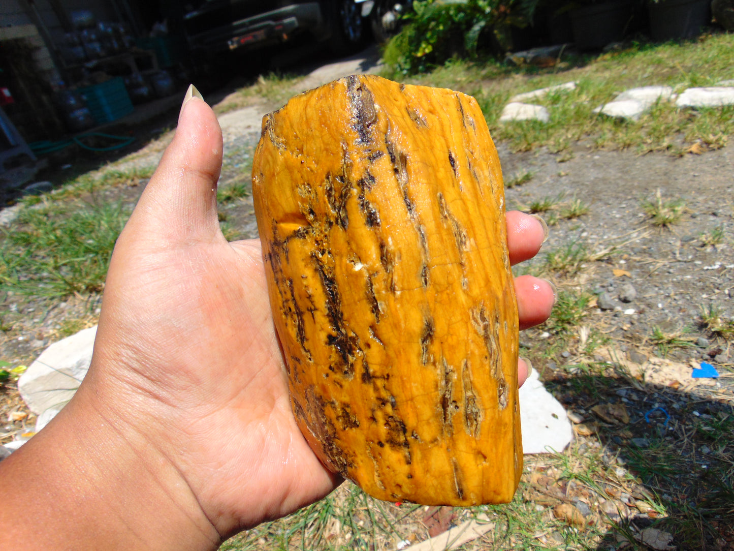 214 gram Polished Indonesia Yellow Fragrance Amber for Healing K825