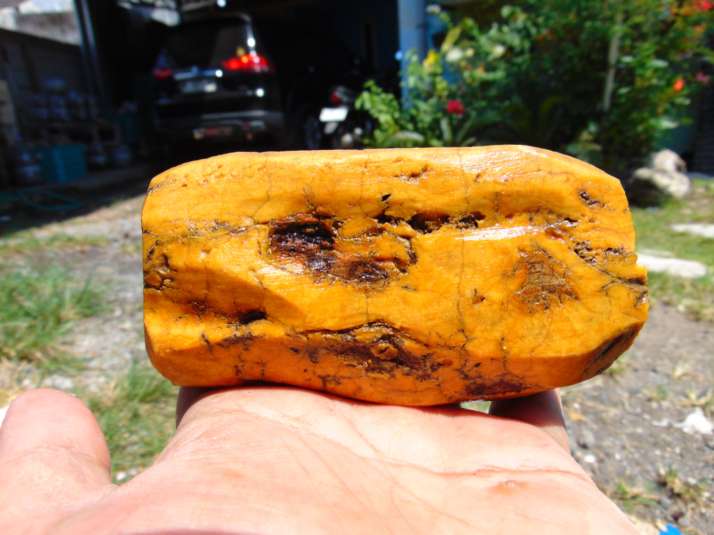 261 gram Polished Indonesia Yellow Fragrance Amber for Healing K822