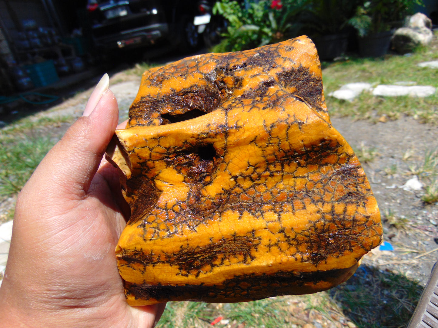 534 gram Polished Indonesia Yellow Fragrance Amber for Healing K821