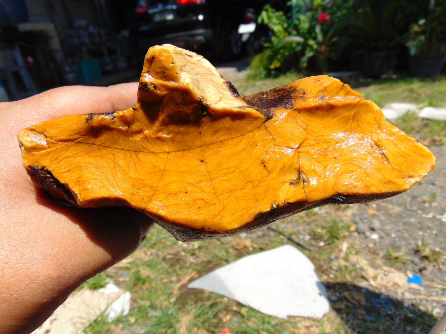 534 gram Polished Indonesia Yellow Fragrance Amber for Healing K821