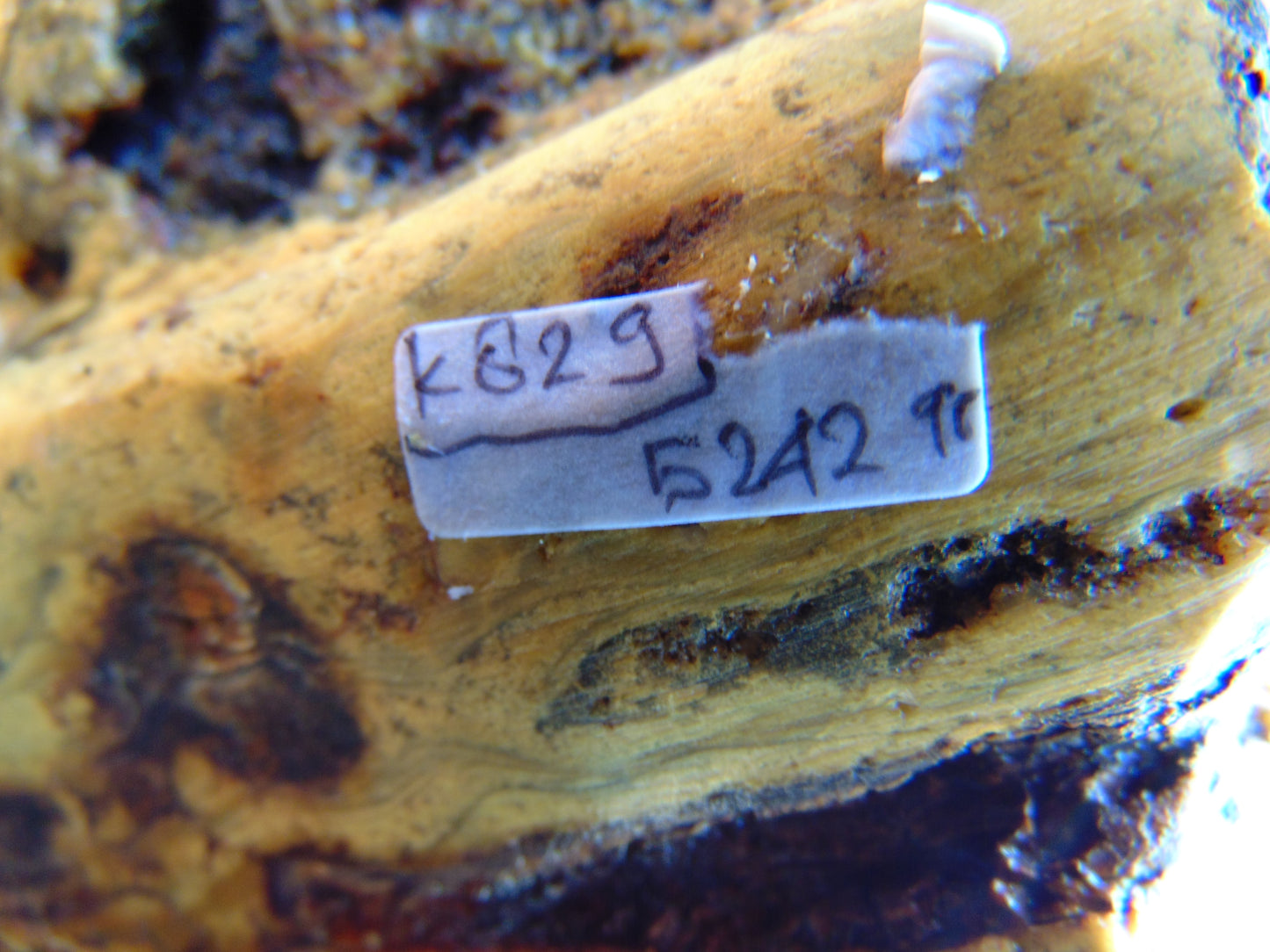 5242 gram Polished Indonesia Yellow Fragrance Amber for Healing K829