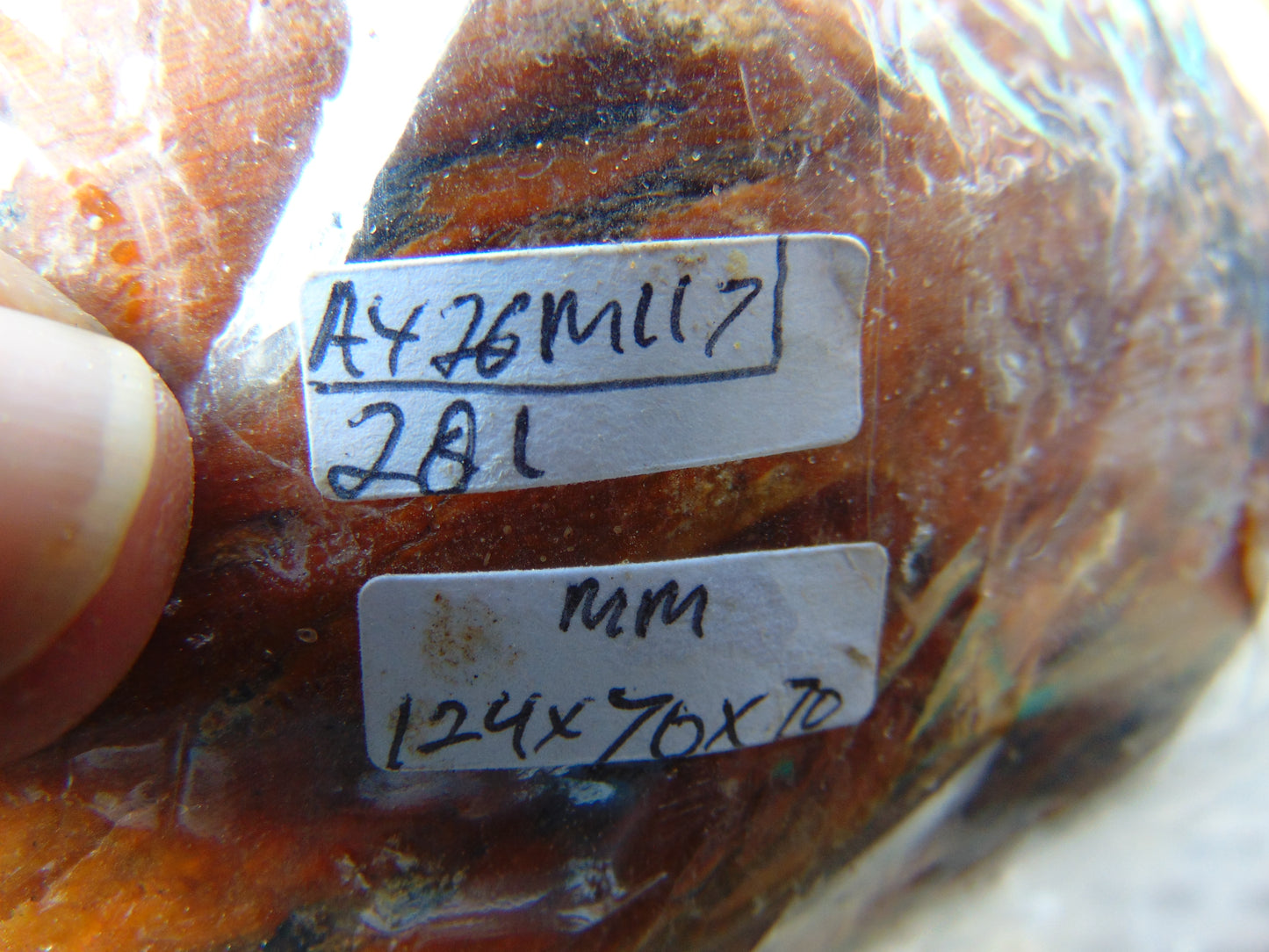 281 gram Polished Indonesia Yellow Aromatic Amber for Healing AY26M117