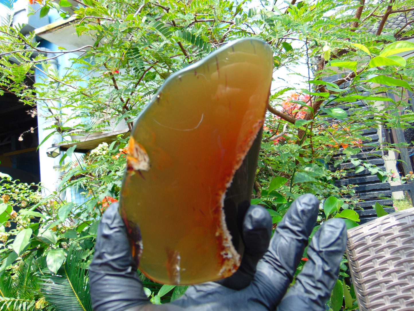 56 gram Slab polished Indonesian yellow blue Amber for Healing ML80