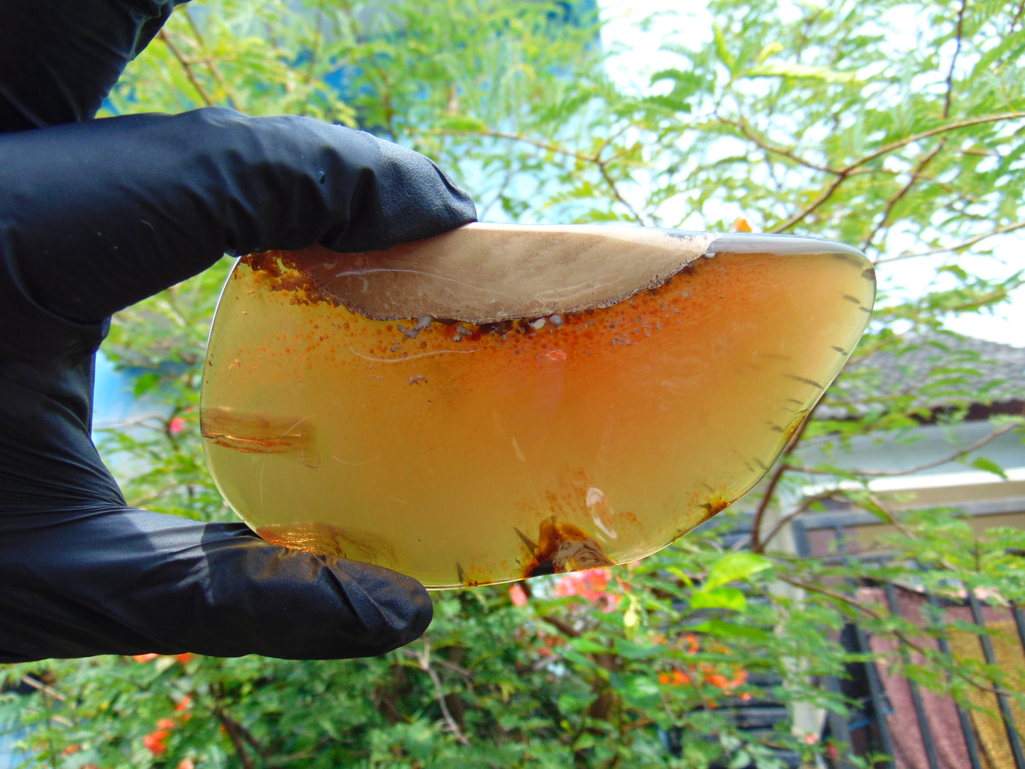 56 gram Slab polished Indonesian yellow blue Amber for Healing ML80