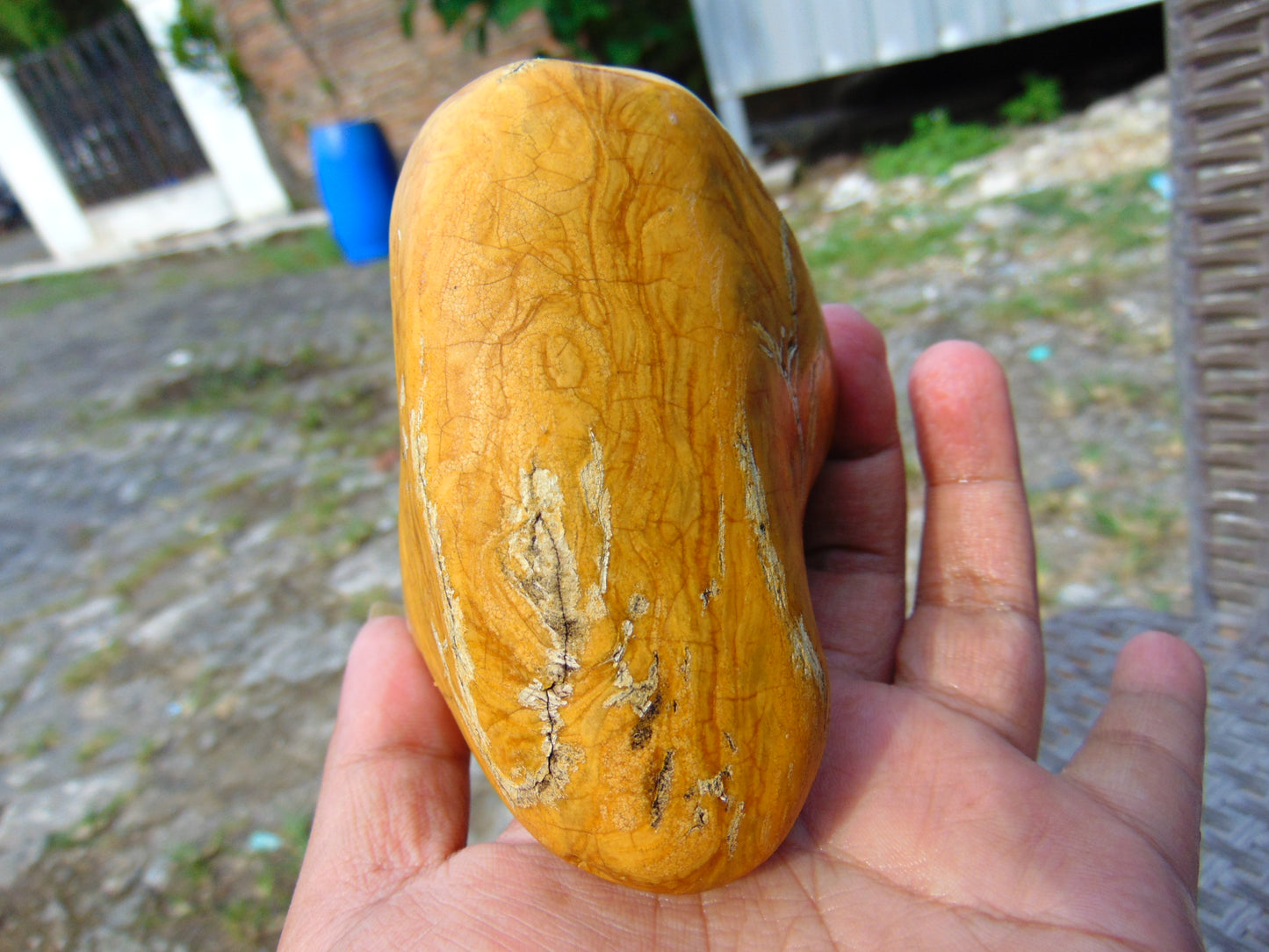 237 gram Polished Indonesia Yellow Fragrance Amber for Healing FK6