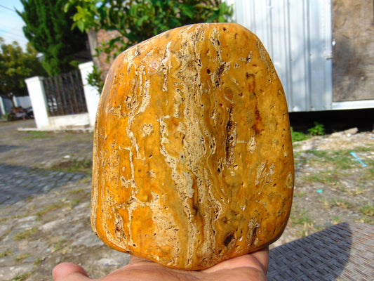 531 gram Polished Indonesia Yellow Fragrance Amber for Healing FK3