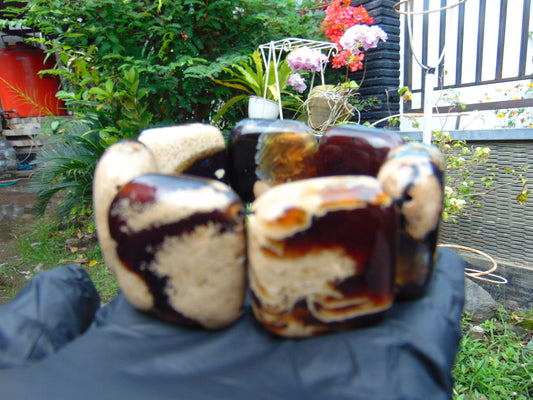 99 gr 7 Square Beads Bangle Indonesian white Amber for Healing 26BE6