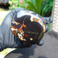 268 gram Polished Stone 83x68x61 Indonesian for Healing 25A179