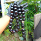 371 gr Big Tasbih Mesbah Rosary 33+3 Beads 25 mm Indonesian Black Amber for Healing Collection TB25i12