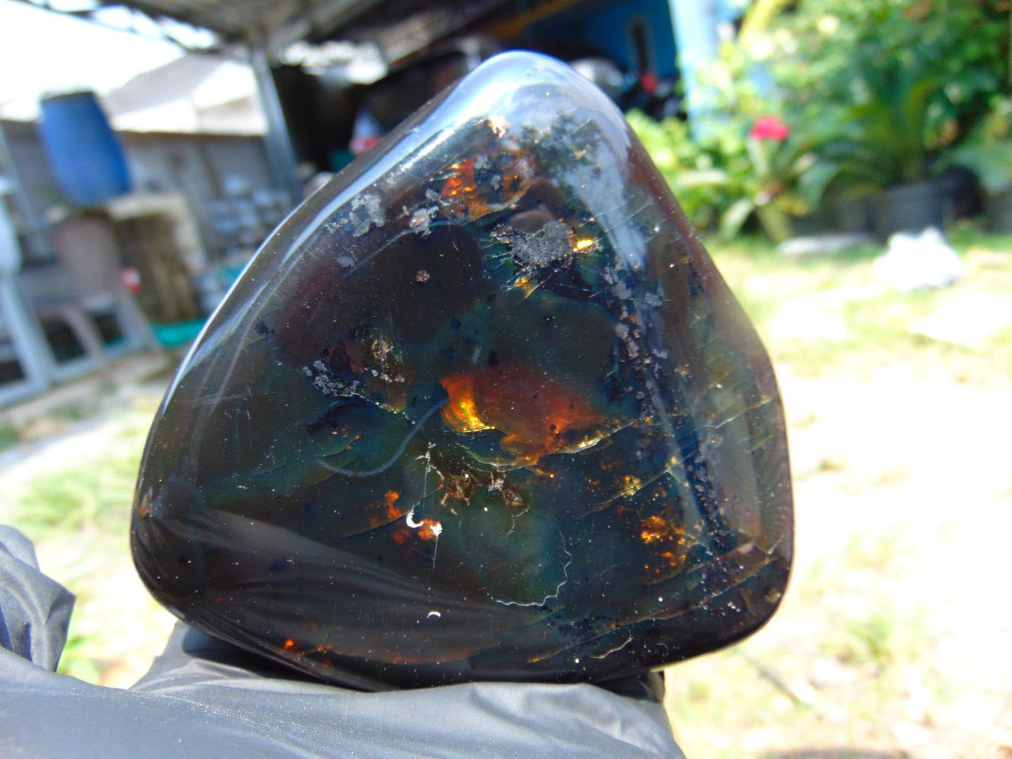 295 gram polished stone Indonesian Dark Green Amber for Healing 25N135