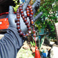 75 gr Tasbih Mesbah Rosary 33+2 Beads  Indonesian Cherry Red Amber for Healing 26TBA03