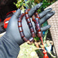 54 gr Komboloi Rosary 23 Beads Indonesian Cherry Red Amber for Healing 26COA01