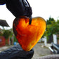 5 gr Heart Pendant Indonesian Amber for Healing 25N239