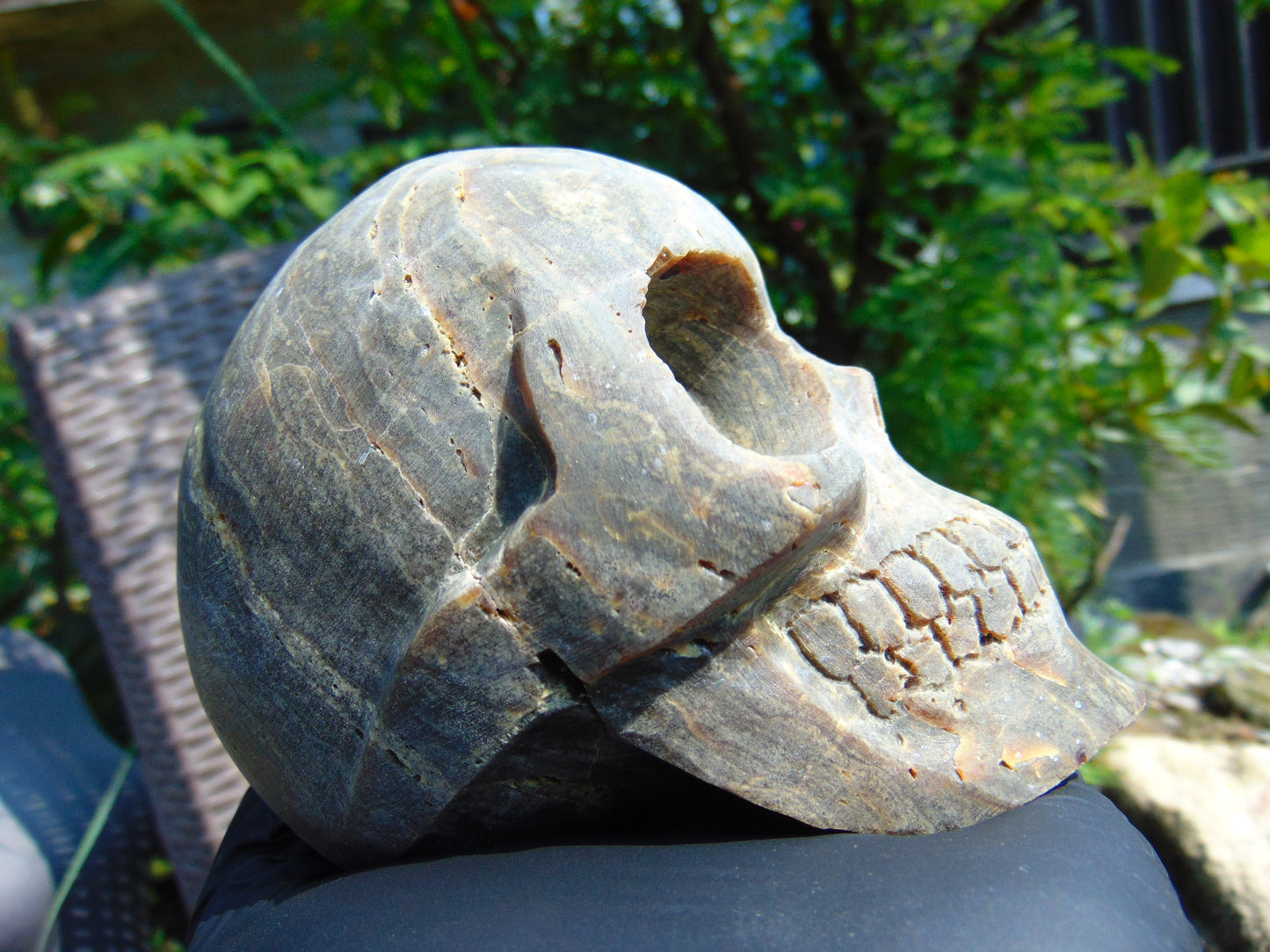 404 gr Skull carving Indonesian Amber for Healing S3D21