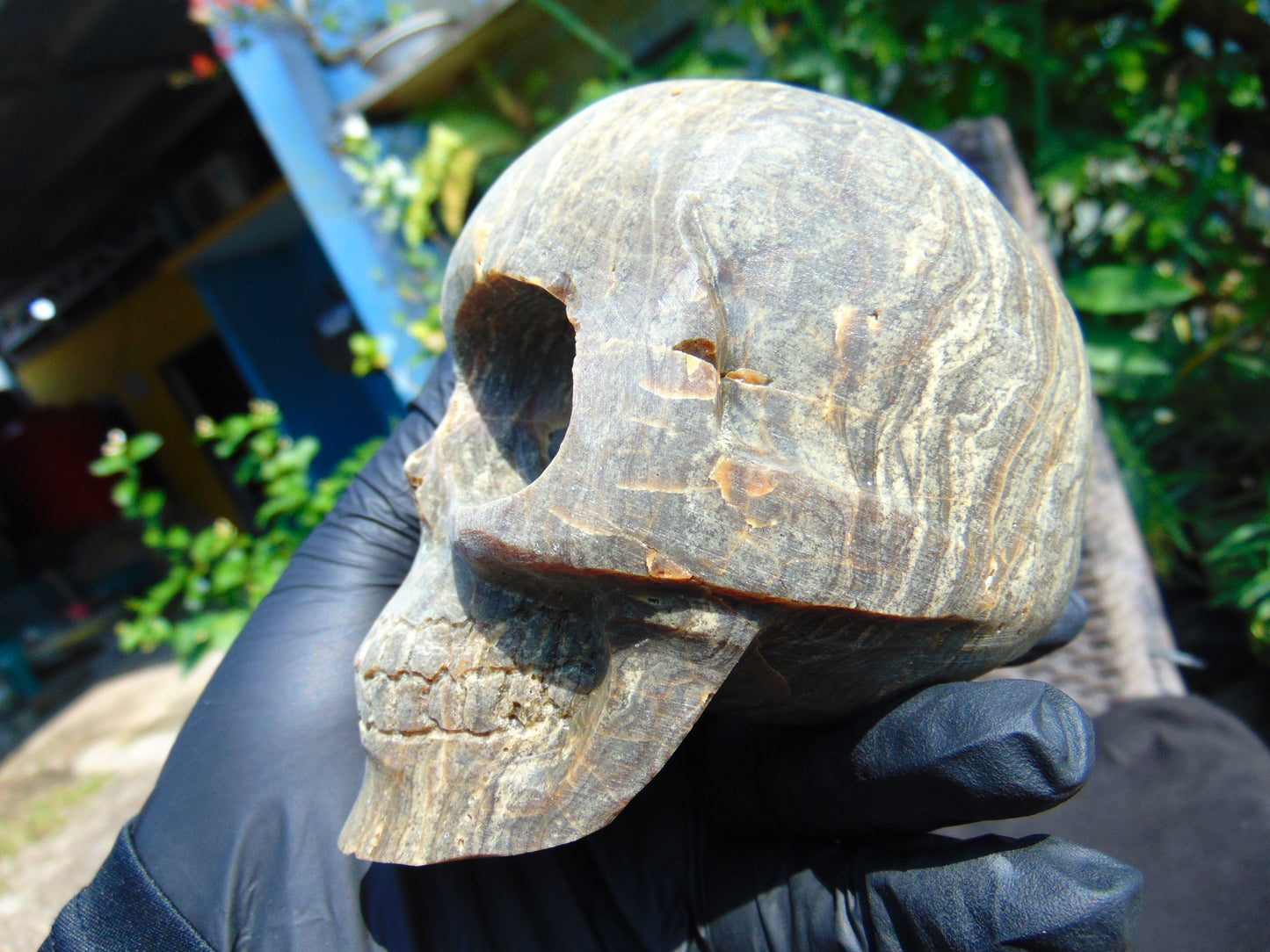 404 gr Skull carving Indonesian Perfumed Amber for Healing 115x85x80 mm S3D21