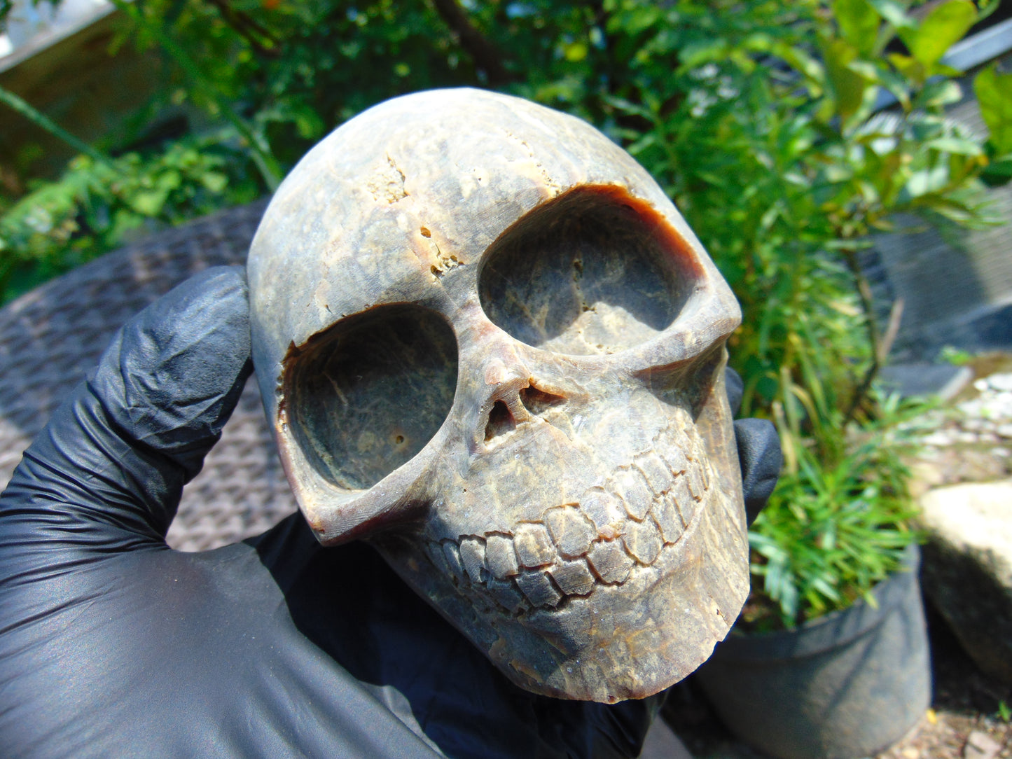 404 gr Skull carving Indonesian Perfumed Amber for Healing 115x85x80 mm S3D21