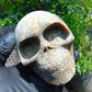 404 gr Skull carving Indonesian Amber for Healing S3D21