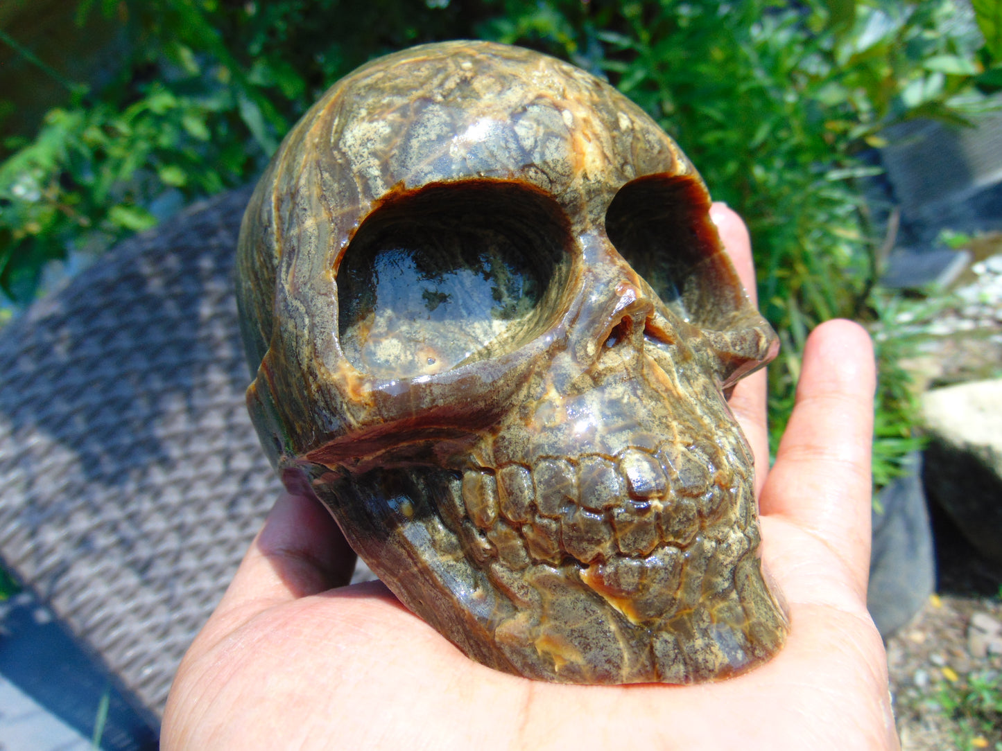 404 gr Skull carving Indonesian Perfumed Amber for Healing 115x85x80 mm S3D21