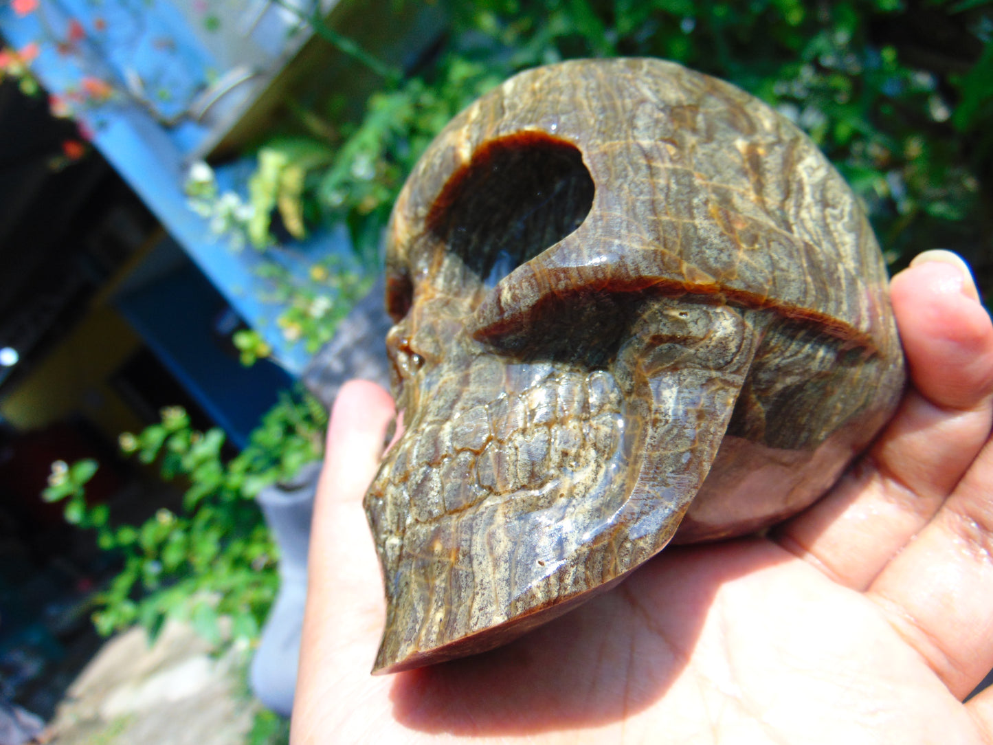 404 gr Skull carving Indonesian Amber for Healing S3D21