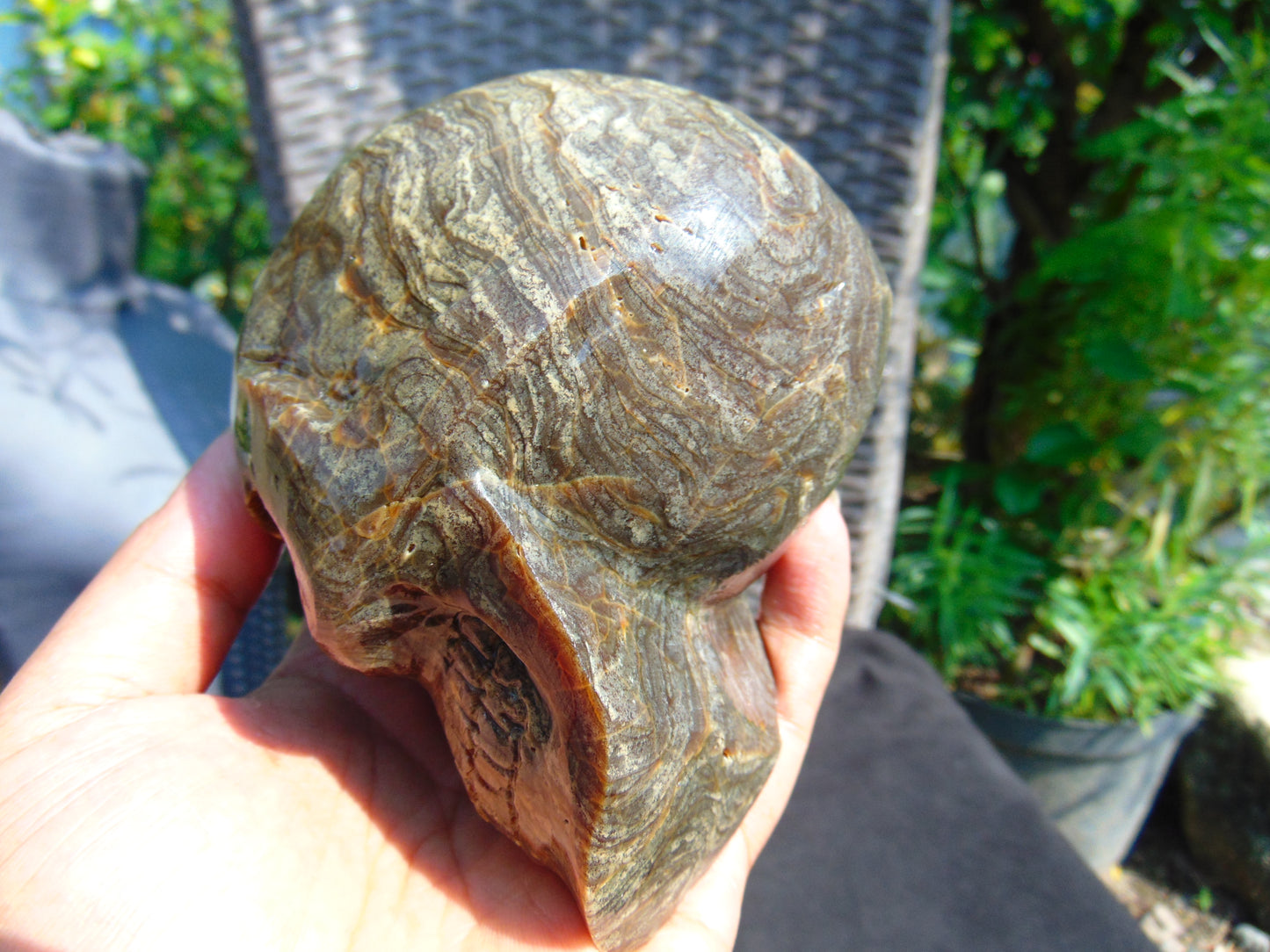 404 gr Skull carving Indonesian Perfumed Amber for Healing 115x85x80 mm S3D21