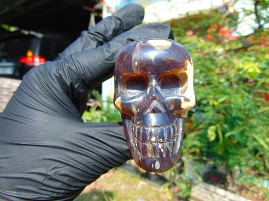 72 gr Skull carving Indonesian Amber for Healing S3D18