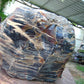 40 KG Big Indonesia Blue Amber for Collection Home Decoration