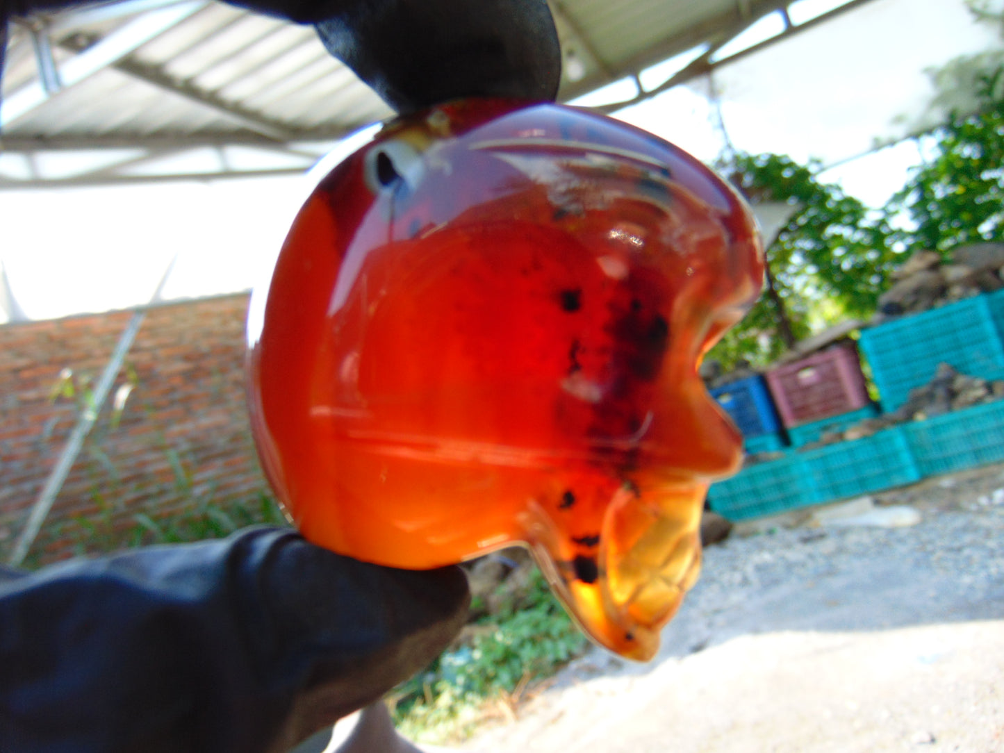 45 gr Skull carving Indonesian Inclusion Crystal Amber for Healing S3D17