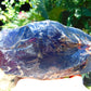 534 gram Rough Raw Indonesian Blue Amber for Healing ARRB2