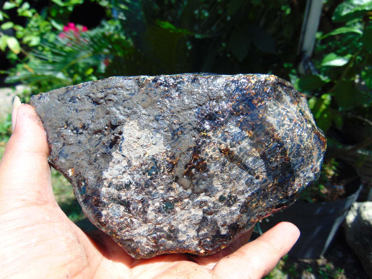 534 gram Rough Raw Indonesian Blue Amber for Healing ARRB2
