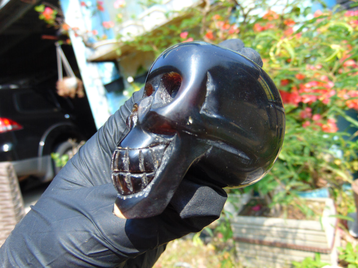 66 gr Skull carving Indonesian Amber for Healing S3D14