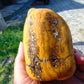 588 gram Polished Indonesia Yellow Fragrance Amber for Healing FK16