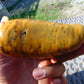 406 gram Polished Indonesia Yellow Fragrance Amber for Healing FR19A