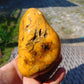 270 gram Polished Indonesia Yellow Fragrance Amber for Healing FK12