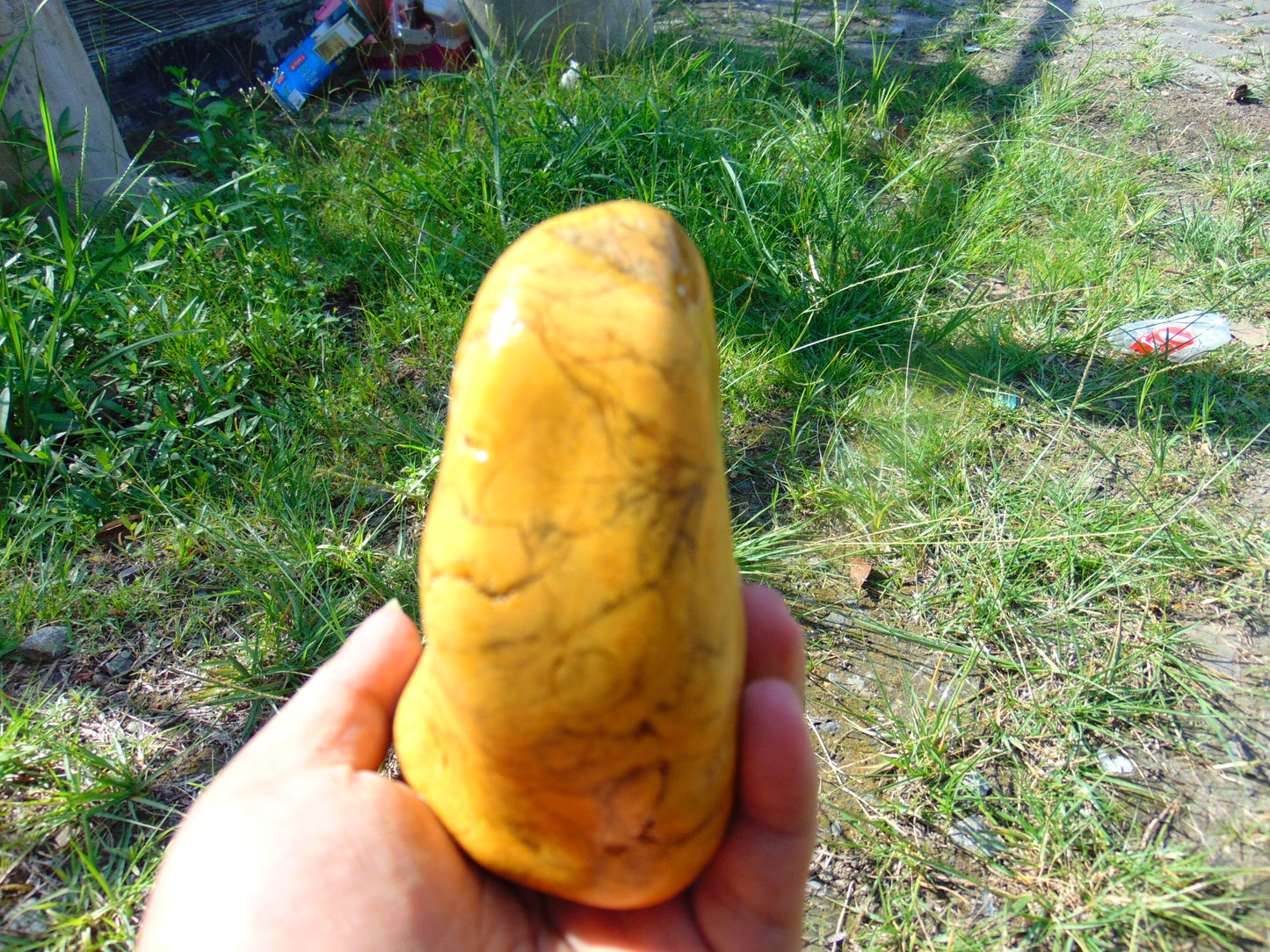270 gram Polished Indonesia Yellow Fragrance Amber for Healing FK12