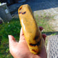 296 gram Polished Indonesia Yellow Fragrance Amber for Healing FK22