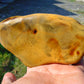 296 gram Polished Indonesia Yellow Fragrance Amber for Healing FK22