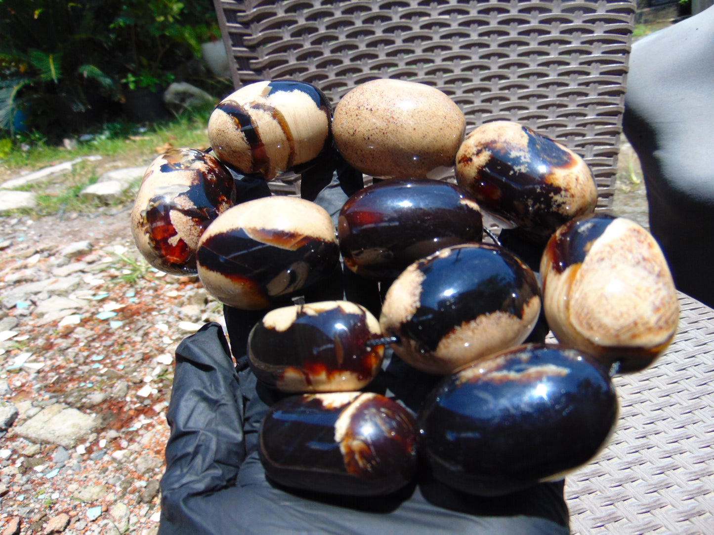 208 gr Small Necklace 11 beads Indonesian white Amber for Healing A11K150