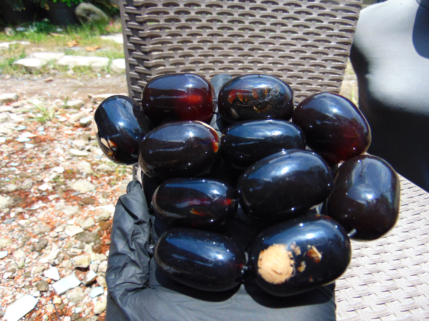 201 gr Small Necklace 11 beads Indonesian Amber for Healing A11K157