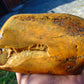 562 gram Polished Indonesia Yellow Fragrance Amber for Healing KM4