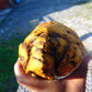 746 gram Polished Indonesia Yellow Fragrance Amber for Healing KM18