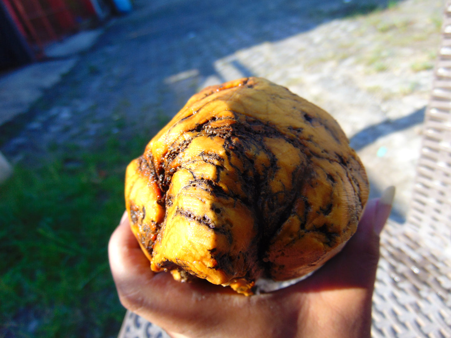 746 gram Polished Indonesia Yellow Fragrance Amber for Healing KM18