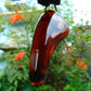12 gr Pendant Indonesian Amber for Healing PC49