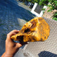 1163 gram Polished Indonesia Yellow Fragrance Amber for Healing KM21