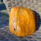 367 gram Polished Indonesia Yellow Fragrance Amber for Healing KM20
