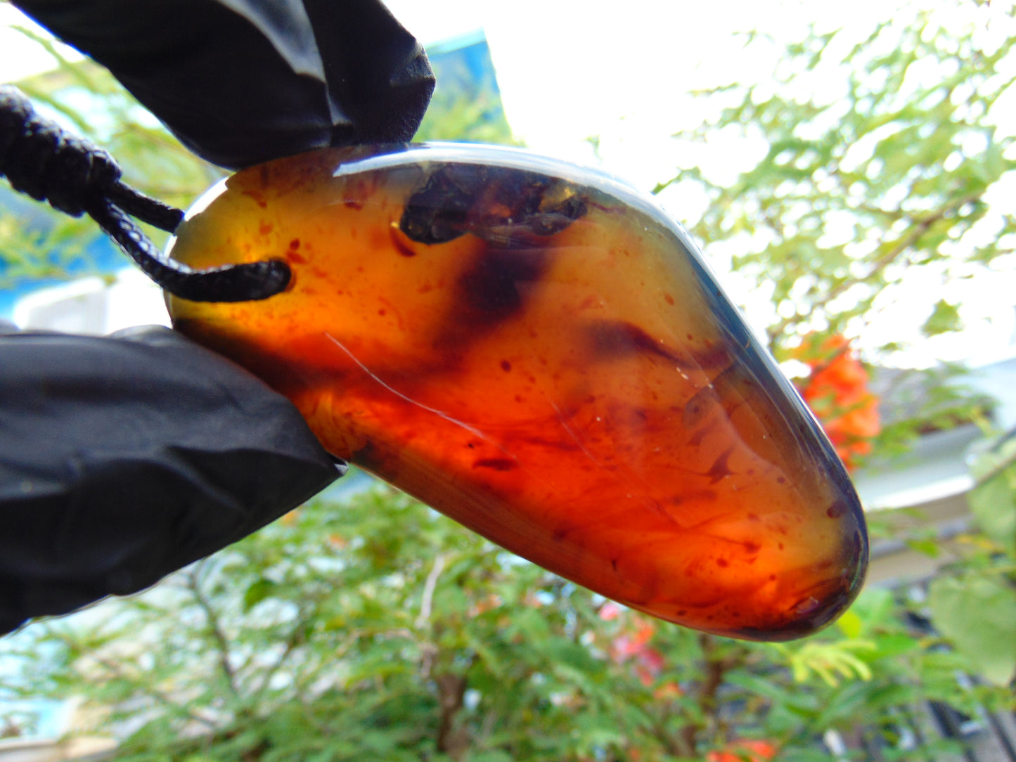 36 gr Pendant Indonesian Blue Amber for Healing PAR16