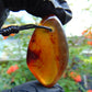 14 gr Pendant Indonesian Amber for Healing PC60