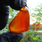 12 gr Pendant Indonesian Amber for Healing PCA4